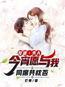 沈先生小宝