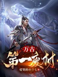 夏亦初权易目录